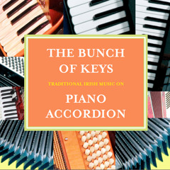 CD3 - 01 Jackie Callaghan (Reels) - Patrick's Night By Paddy O Brien/Laura's Reel By Philip Duffy