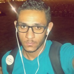 Ahmed Shrkawy