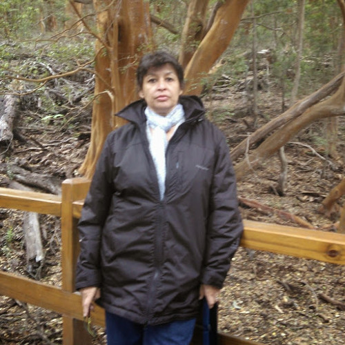 Stream Susana Sanchez music Listen to songs, albums, playlists for