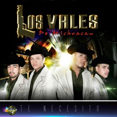 LOS VALES DE MICHOACAN