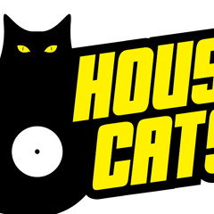 Mark Bicko (housecat)