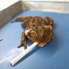 Jerahme