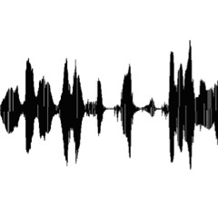 The Tasty Cat Groove