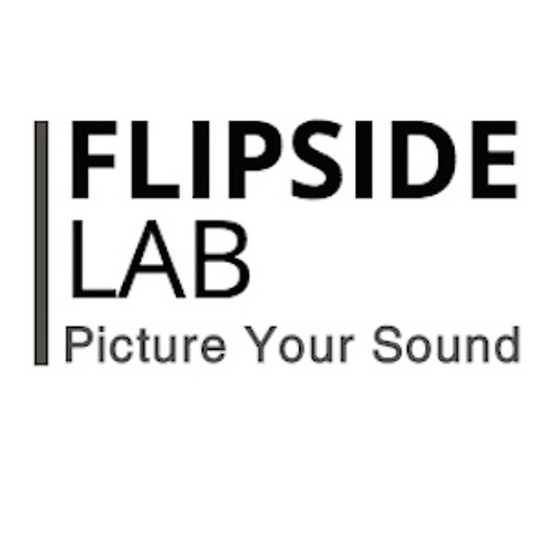 Flipside Lab’s avatar