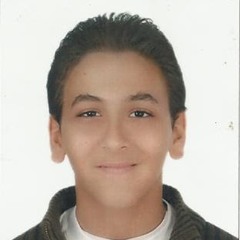 nourfawzy