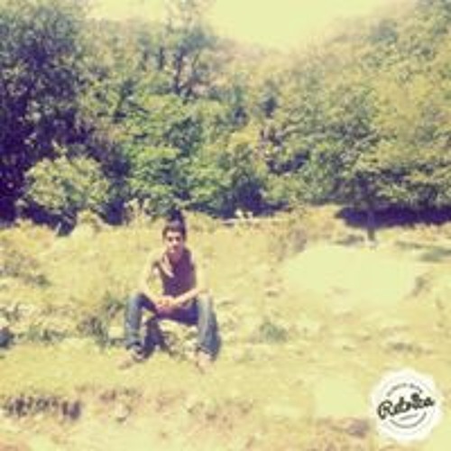 Mardan Ali Naqvi’s avatar