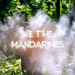 WE THE MANDARINES