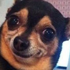 Kemp DjRewind Collins