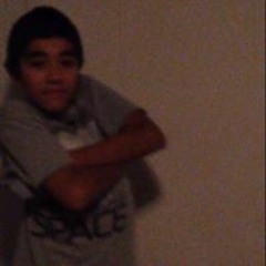 lil bustanut