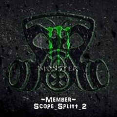 Scope Von Real Purge