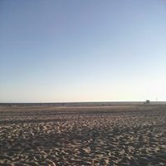 user1813030