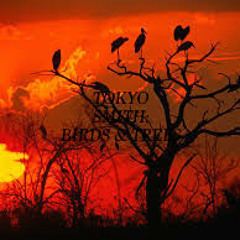 TOKYOSMITH:BIRDS&TREES