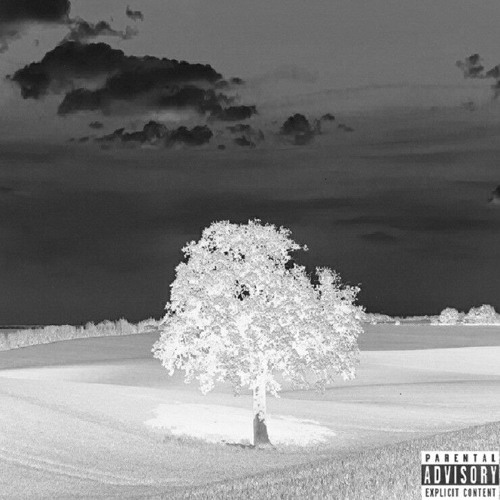 Stream Tree music | Listen to songs, albums, playlists for free on ...