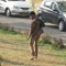 Abhishek Yelley