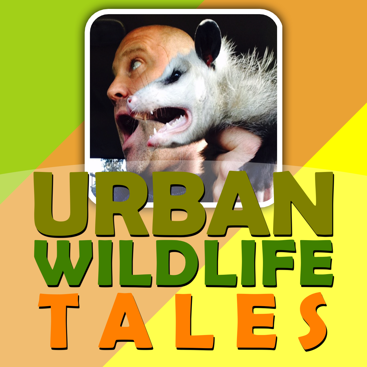 Urban Wildlife Tales