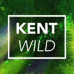 Neuro System - KENT WILD