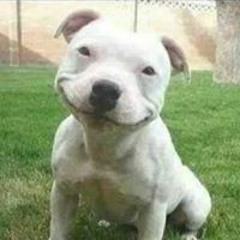 Noah Patterson Pauley