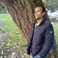 Nader Kameel
