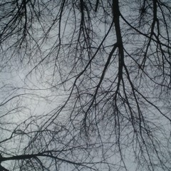 HelloFFM