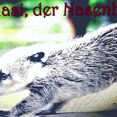 NasiNasenbaer-Geschichten