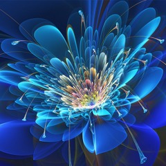 Fractal
