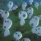 Hasha from Kodama