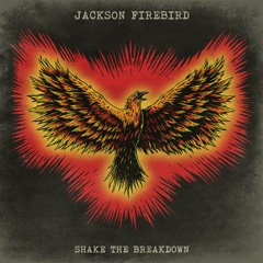 Jackson Firebird
