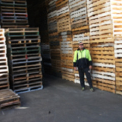 Sydney Pallets