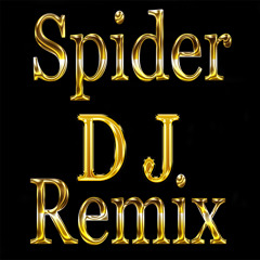 D J Spider