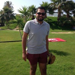 Ayman Hatem 1
