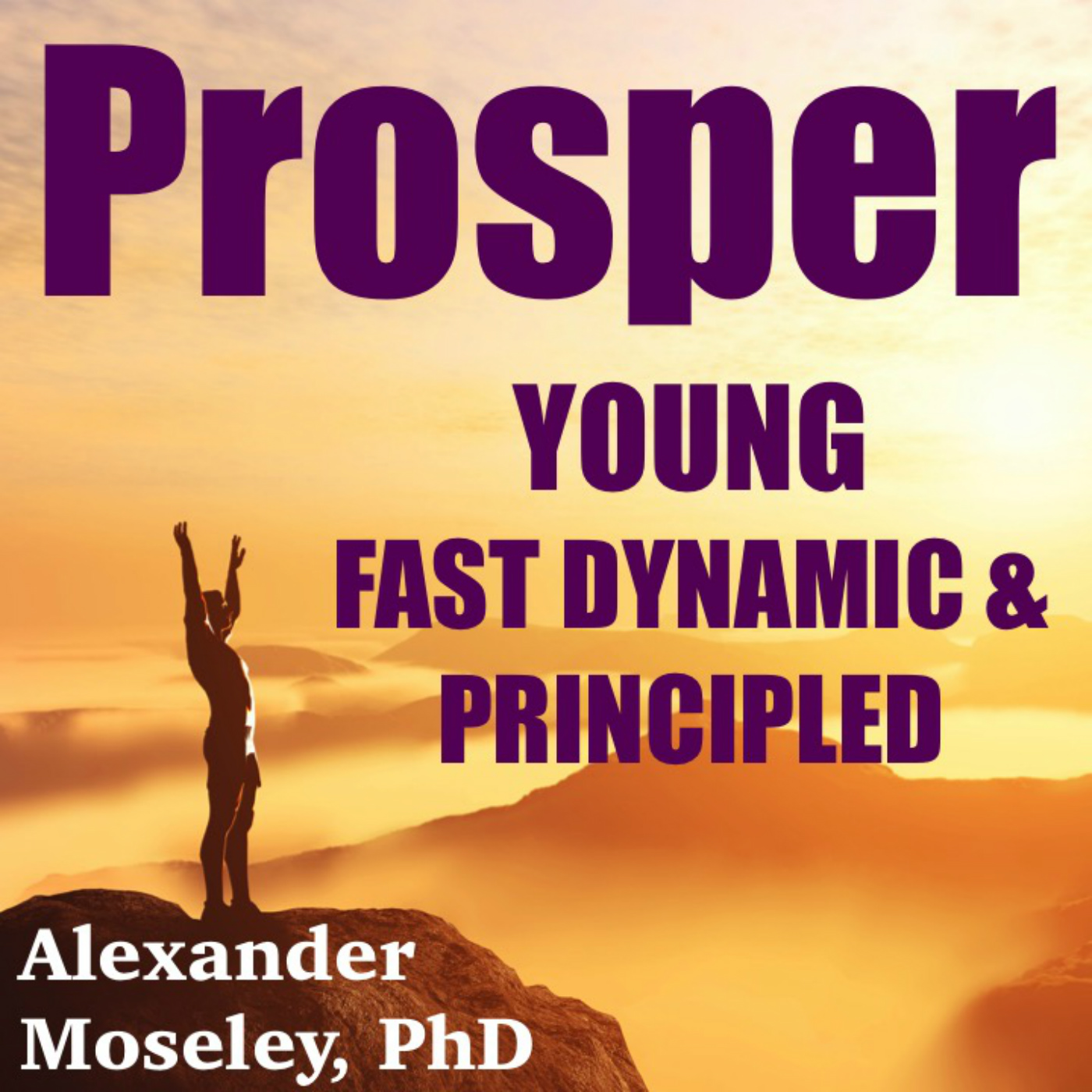 Introduction to Principles of Prosperity cover