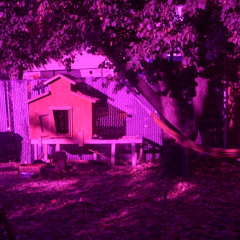 Seven Feathers Rainwater