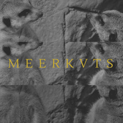 MEERKVTS