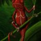 RED CHAMELEON PRODUCTIONZ