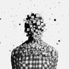 signal:noize