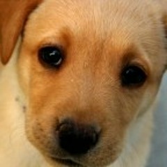 emma swag song♡♥