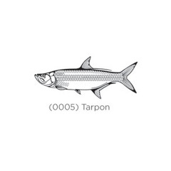 DJ Tarpon