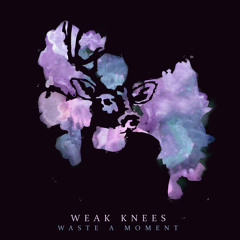 WeakKnees