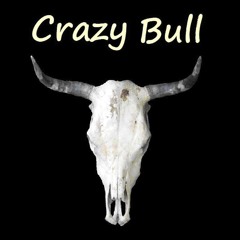 Crazy Bull Band