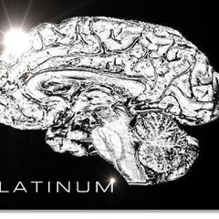 platniumminds