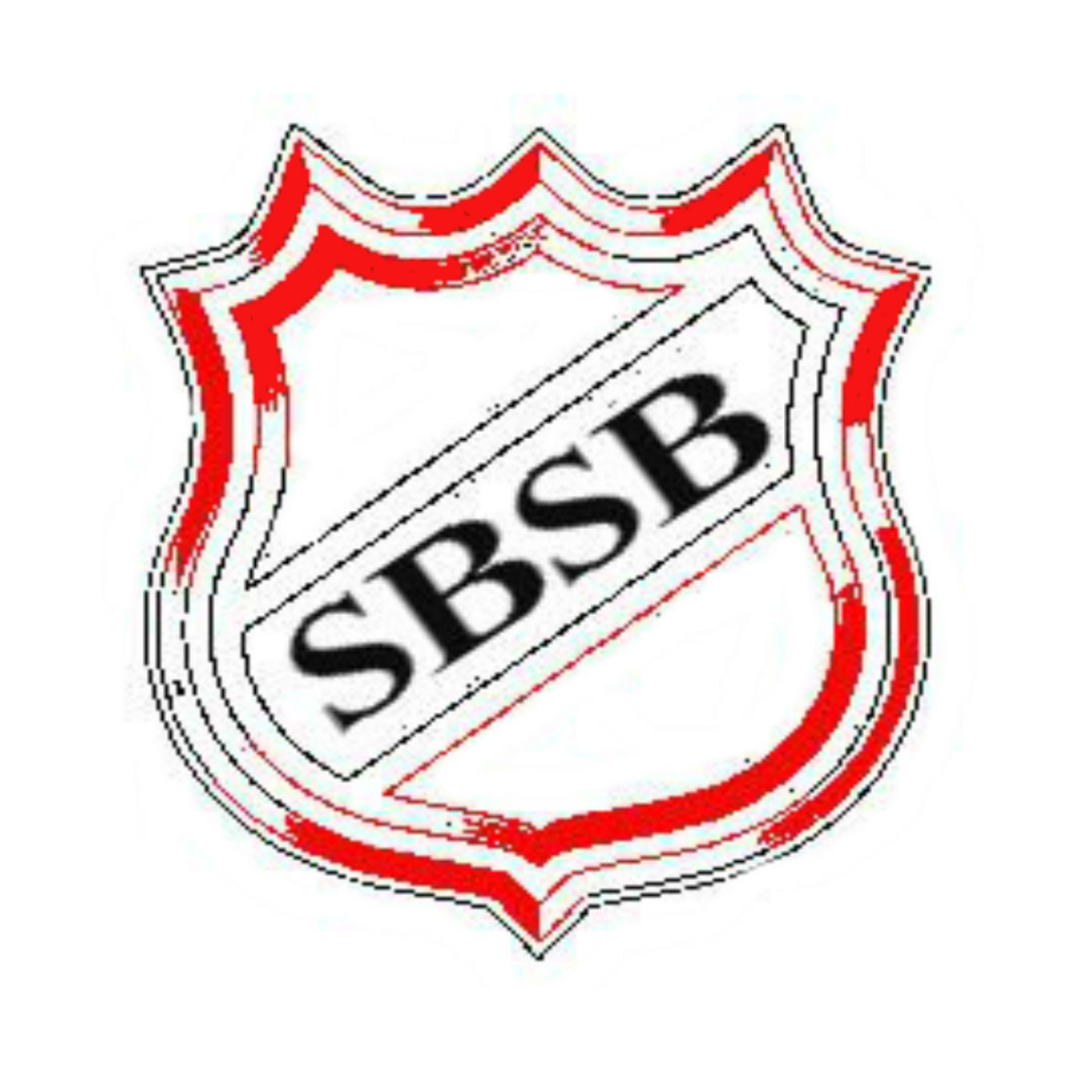 The Sin Bin Sports Podcast