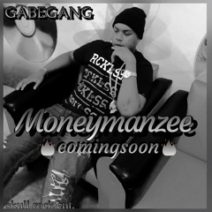 Moneymanzee