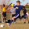 Will Maclay