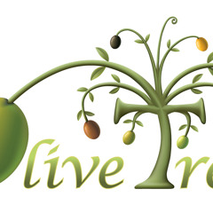 OliveProductions
