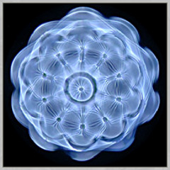 To Reunite is to Remember