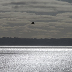 Jorge Luis Marquez Vera