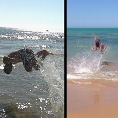 Med_Zied Souid