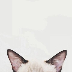 Miwkii Chaisakdanukool