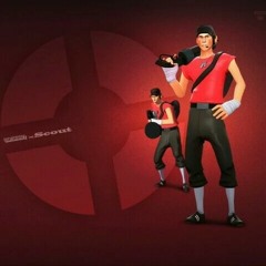 Scout 2 2 8