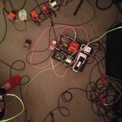 The Portland Paulies